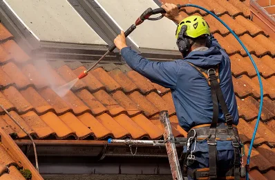 Démoussage et hydrofuge de toiture à Musculdy